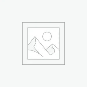 Chareles & Keith gold women's bag